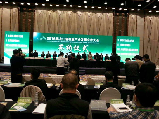 仟億達(dá)831999碳交易業(yè)界影響強(qiáng)，副總田衛(wèi)然接受黑龍江廣播電視臺(tái)采訪