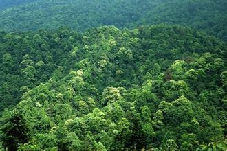 仟億達(dá)碳資產(chǎn)交易 幫人類找回一個(gè)干凈的文明社會 仟億達(dá)碳資產(chǎn)交易 幫人類找回一個(gè)干凈的文明社會