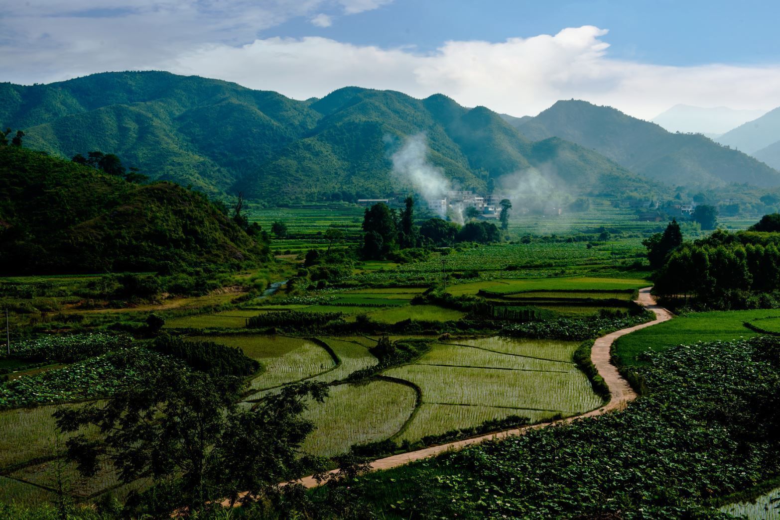 仟億達(dá)億碳與江西鎮(zhèn)石城縣達(dá)成林業(yè)碳匯項(xiàng)目合作 仟億達(dá)億碳與江西鎮(zhèn)石城縣達(dá)成林業(yè)碳匯項(xiàng)目合作