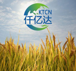 生物質多聯(lián)產2